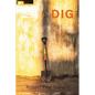 Dig - Paperback