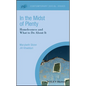 In the Midst of Plenty: Homelessness and What to Do about It - Hardcover