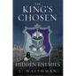 Hidden Enemies - Hardcover