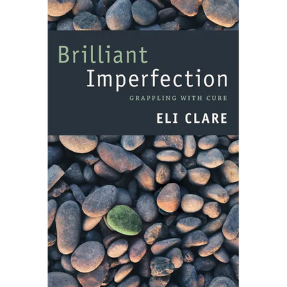 Brilliant Imperfection: Grappling with Cure - Paperback