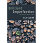 Brilliant Imperfection: Grappling with Cure - Paperback