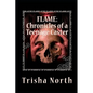 Flame: Chronicles of a Teenage Caster - Paperback