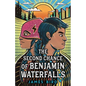 The Second Chance of Benjamin Waterfalls - Hardcover