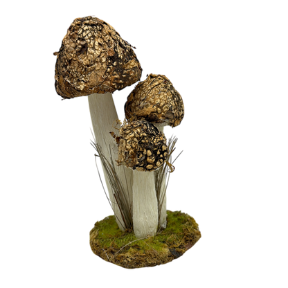 Mushroom Cluster
