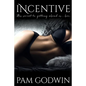 Incentive - Paperback