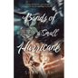 Bands of a Small Hurricane - Paperback