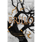Brillo / Gleam - Paperback