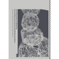 Architectures of Weaving: From Fibers and Yarns to Scaffolds and Skins - Paperback