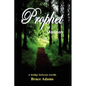 Prophet or Madman - Paperback