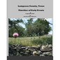Lampasas County, Texas: Timeline of Early Events - Paperback