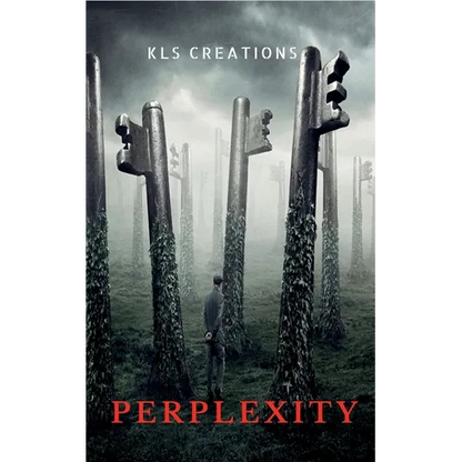 Perplexity - Paperback