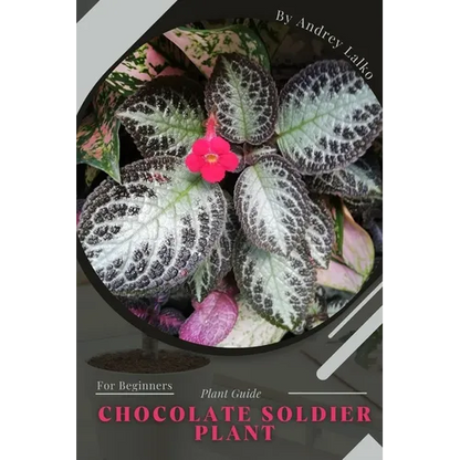 Chocolate Soldier Plant: Plant Guide - Paperback