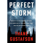 Perfect Storm: Russia's Failed Economic Opening, the Hurricane of War and Sanctions, and the Uncertain Future - Hardcover