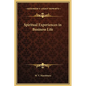Spiritual Experiences in Business Life - Hardcover