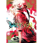 Karneval, Vol. 14: Volume 14 - Paperback