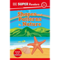 DK Super Readers Pre-Level Shapes and Patterns in Nature - Hardcover