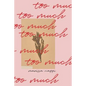 Too Much - Paperback