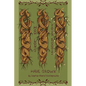 How Long Your Roots Have Grown - Paperback