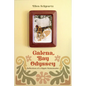 Galena Bay Odyssey: Reflections of a Hippie Homesteader - Paperback