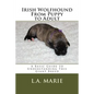 Irish Wolfhound From Puppy to Adult: A Basic Guide to Understanding This Giant Breed - Paperback