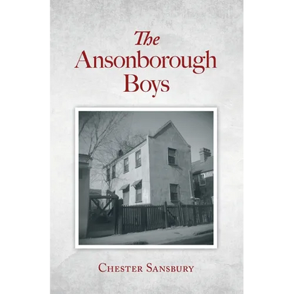 The Ansonborough Boys - Hardcover