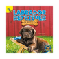 Labrador Retriever Puppies - Paperback