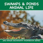Swamps & Ponds Animal Life: 2nd Grade Geography Workbook Series - Paperback