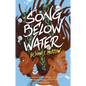 A Song Below Water - Hardcover