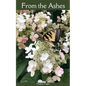 From the Ashes - Paperback