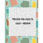 Mazes for adults: Easy - Medium level in large size book - Paperback
