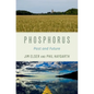 Phosphorus: Past and Future - Hardcover