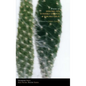 Poems of Hiromi Ito, Toshiko Hirata & Takako Arai - Paperback