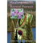 Healing Herbs of the Boreal Forest: Sacred and Medicinal Plants - Paperback