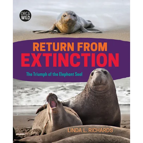Return from Extinction: The Triumph of the Elephant Seal - Hardcover