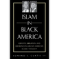 Islam in Black America: Identity, Liberation, and Difference in African-American Islamic Thought - Paperback