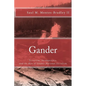 Gander: Terrorism, Incompetence, and the Rise of Islamic National Socialism - Paperback