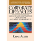 Corporate Lifecycles - Paperback