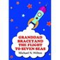 Granddad Bracey and the flight to Seven Seas - Paperback