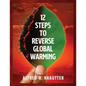 12 Steps to Reverse Global Warming - Paperback