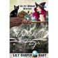 Wicked Fog - Paperback