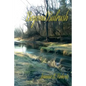 Beyond Bulrush - Paperback