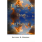 The Christian Looks at Himself - Paperback