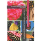 South Florida Butterfly Bonanza: 20 Common Butterflies You Can Easily Attract - Paperback