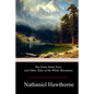 The Great Stone Face, and Other Tales of the White Mountains - Paperback