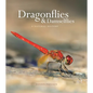 Dragonflies and Damselflies: A Natural History - Hardcover