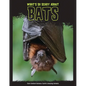 What's So Scary about Bats? - Library Binding