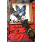 Manuel and the Lady - Paperback