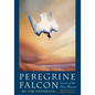 Peregrine Falcon: Stories of the Blue Meanie - Paperback