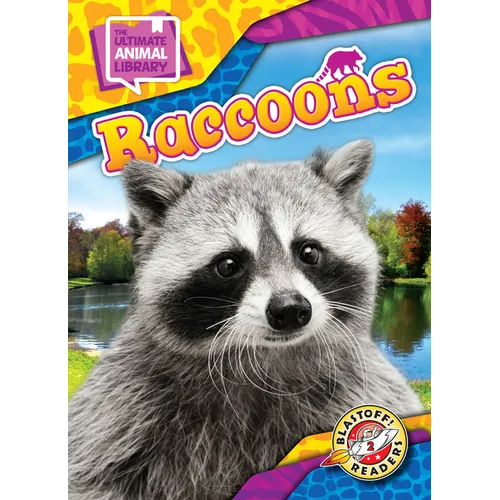 Raccoons - Library Binding