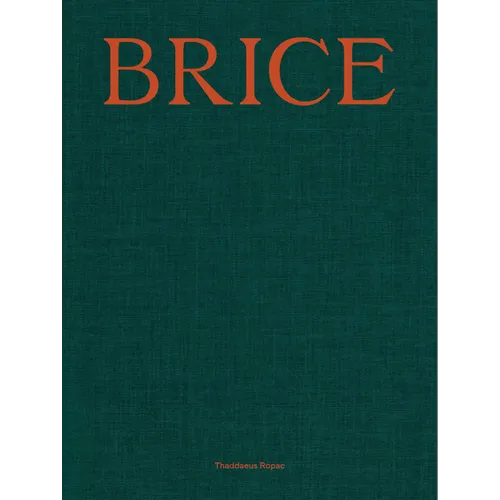 Lisa Brice: Lives and Works - Hardcover